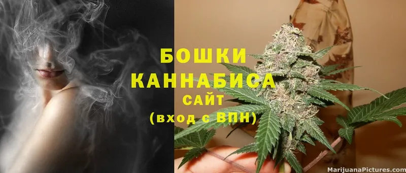 блэк спрут как войти  Губкин  Бошки марихуана Amnesia  где купить  